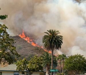 Brush fire in Burbank under control,...